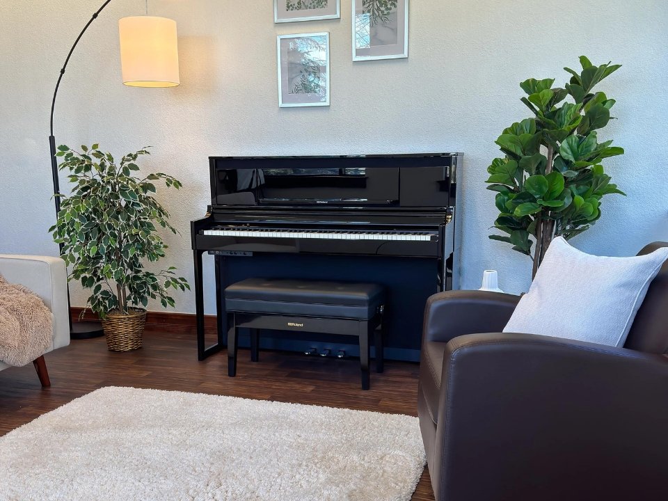 Chi tiết đàn ROLAND LX-6 PE - Hình 4